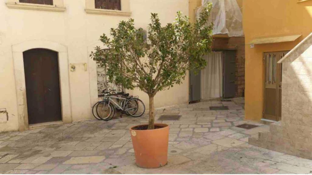 Corte32 Bari Bagian luar foto
